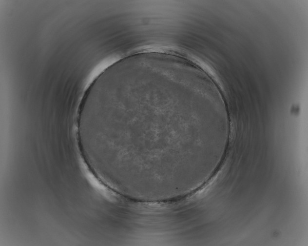 X0000092271042200709281220