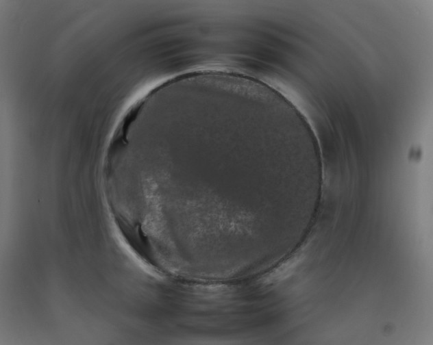 X0000092271045200709281220