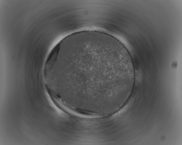 X0000092271046200709281220
