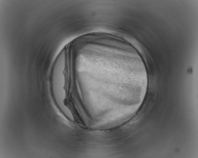 X0000092271048200709281220