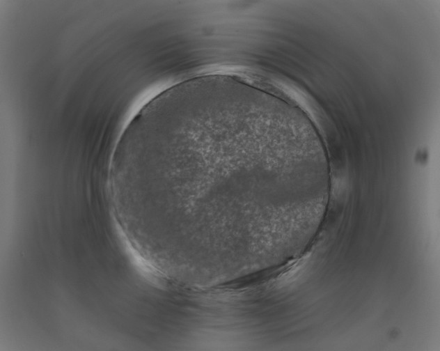 X0000092271050200709281220