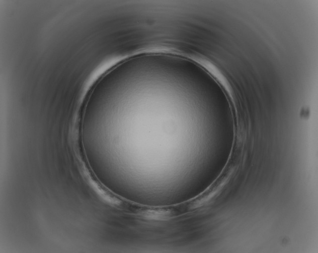 X0000092271053200709281220