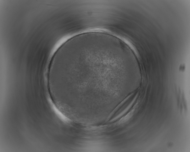 X0000092271054200709281220