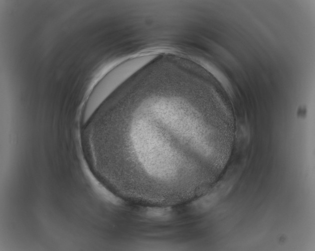 X0000092271055200709281220