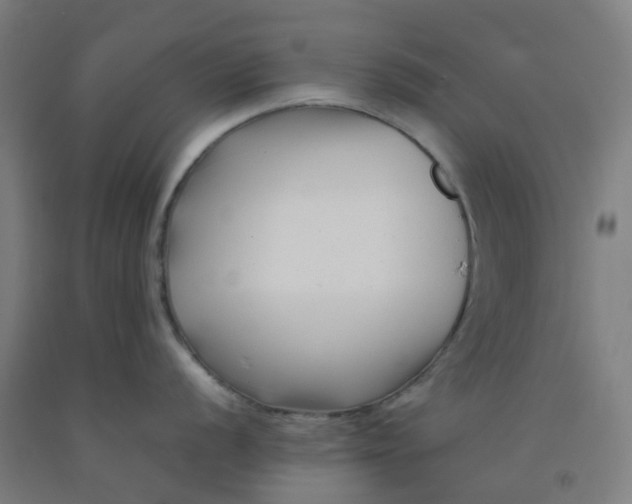 X0000092271056200709281220