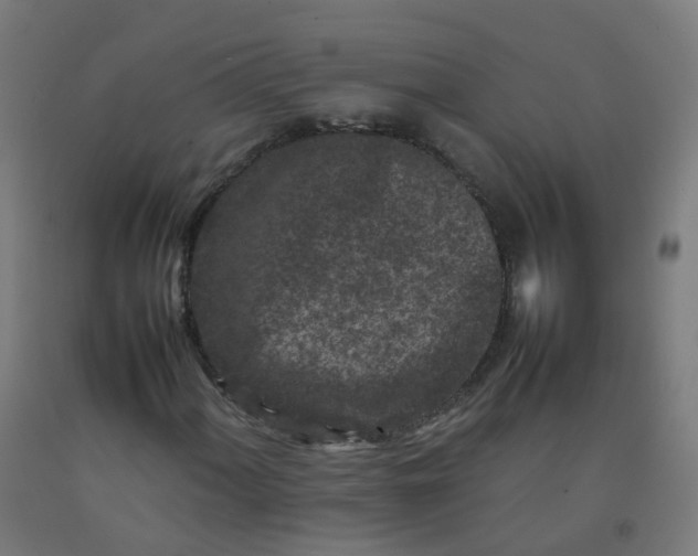 X0000092271060200709281219