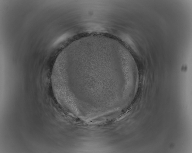 X0000092271063200709281219