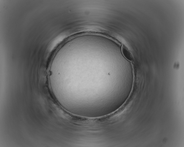 X0000092271067200709281219