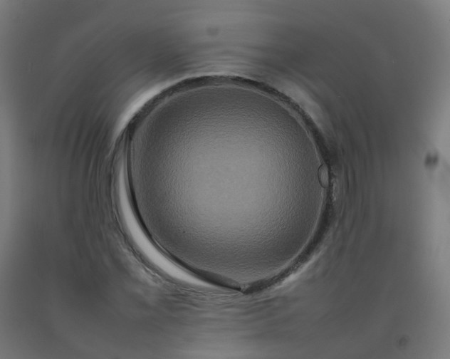 X0000092271069200709281219