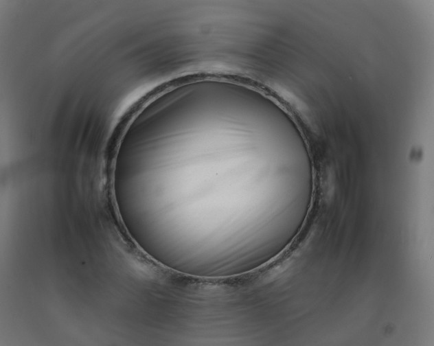 X0000092271070200709281219