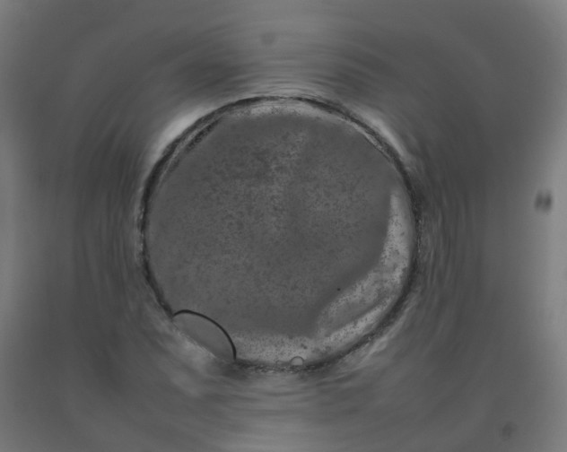 X0000092271071200709281219