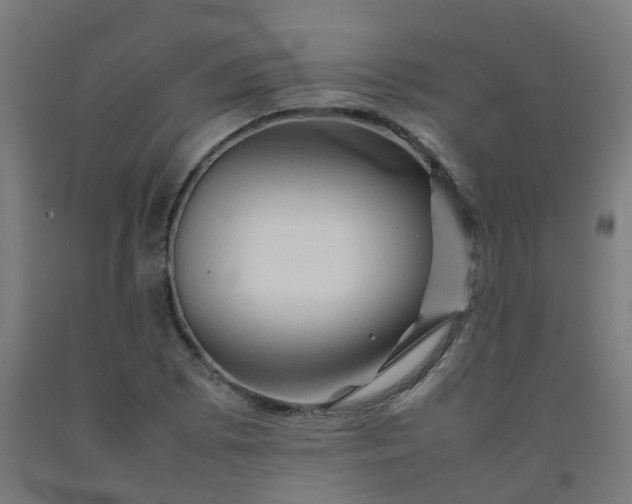X0000092271073200709281219