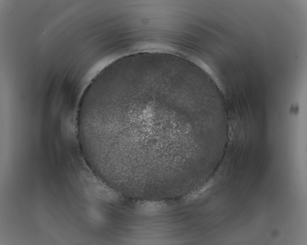 X0000092271074200709281219