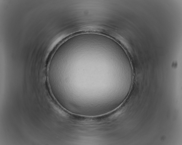 X0000092271075200709281219