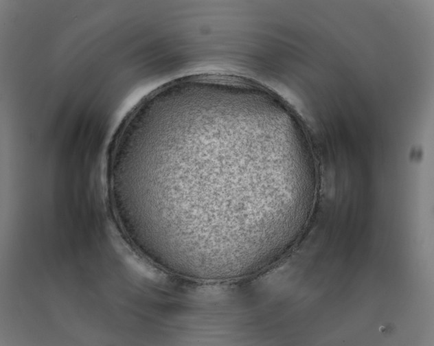 X0000092271078200709281219