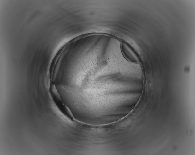 X0000092271080200709281219