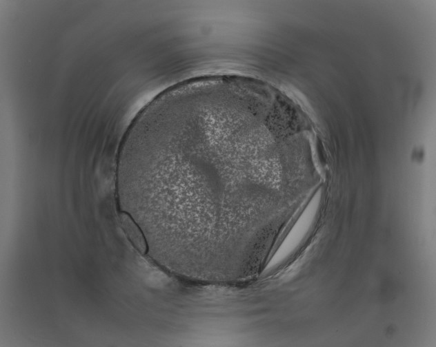 X0000092271081200709281219