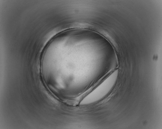 X0000092271083200709281219