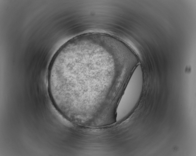 X0000092271084200709281219