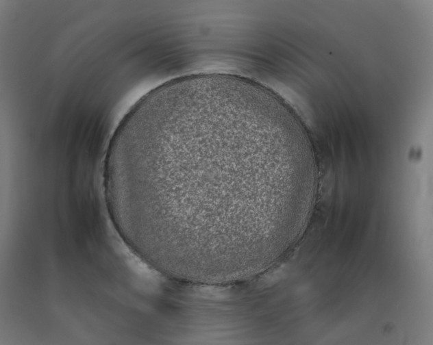 X0000092271086200709281219