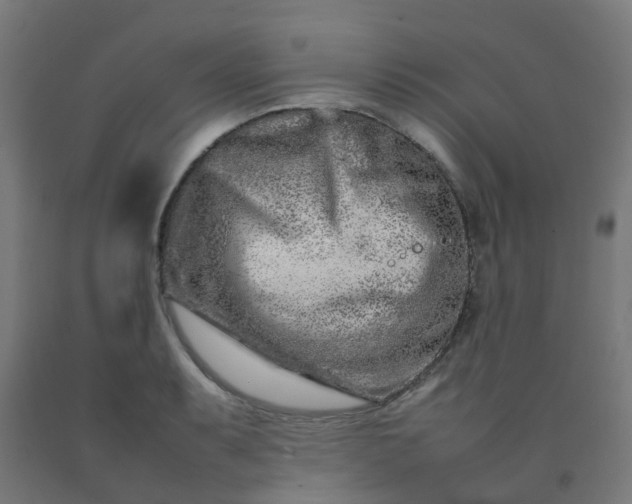 X0000092271087200709281219