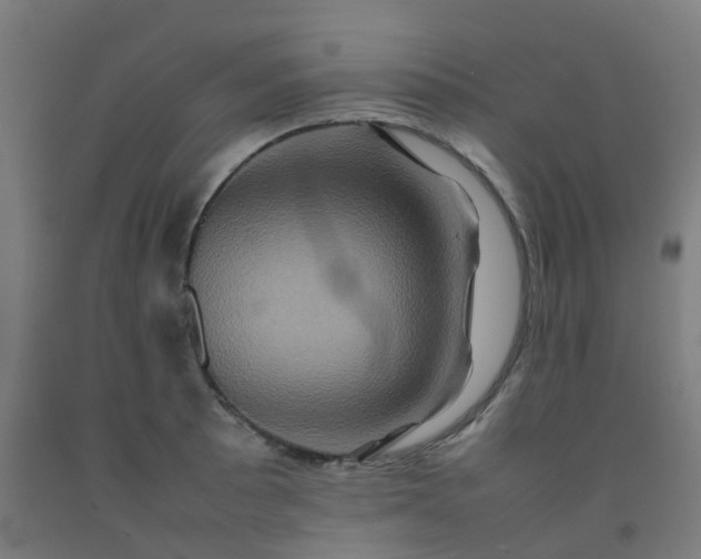 X0000092271089200709281219