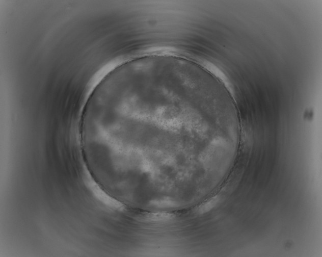 X0000092271090200709281219