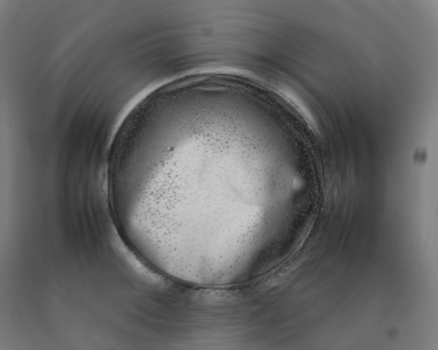 X0000092271092200709281219