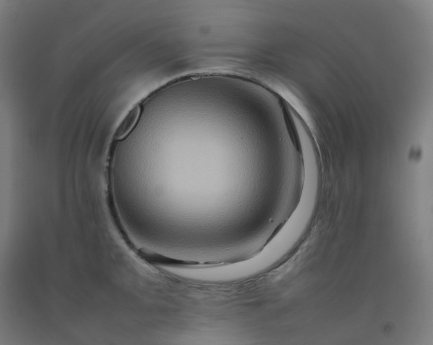 X0000092271093200709281219