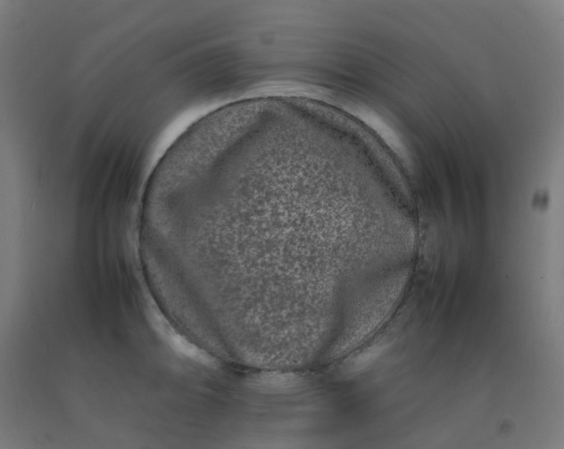 X0000092271094200709281219
