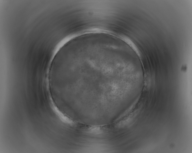 X0000092271098200709281219