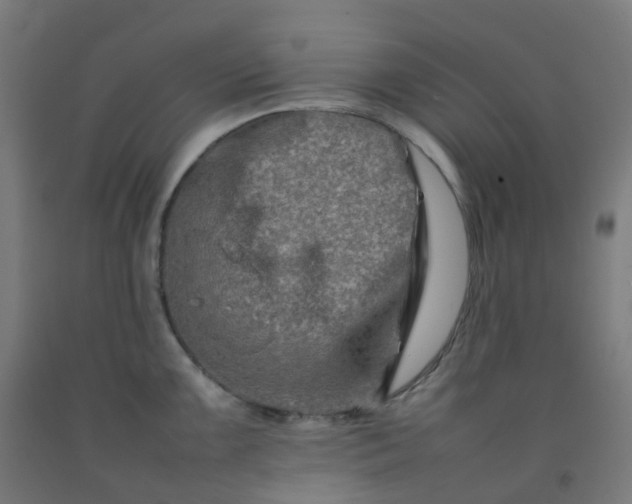 X0000092271099200709281219