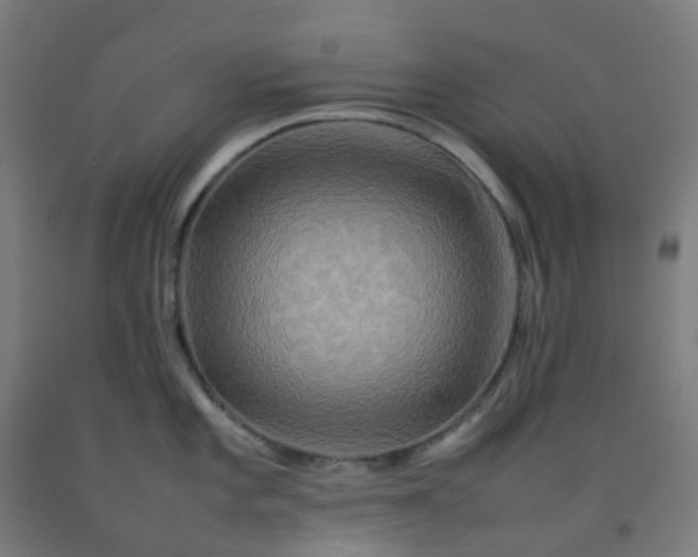 X0000092271101200709281219