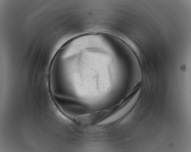 X0000092271102200709281219