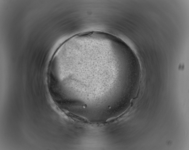 X0000092271104200709281219