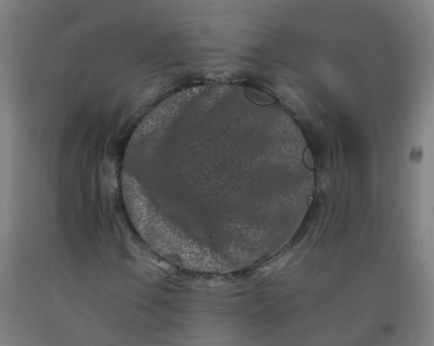 X0000092271106200709281218