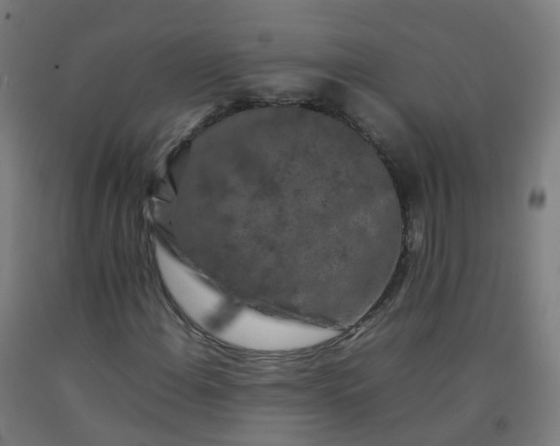 X0000092271108200709281218