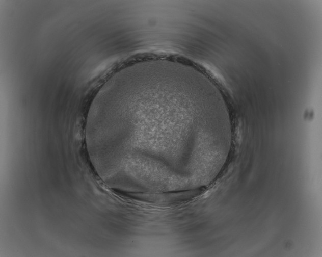 X0000092271110200709281218