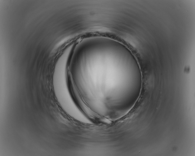 X0000092271112200709281218