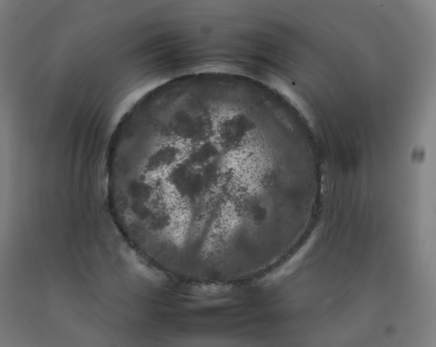 X0000092271117200709281218