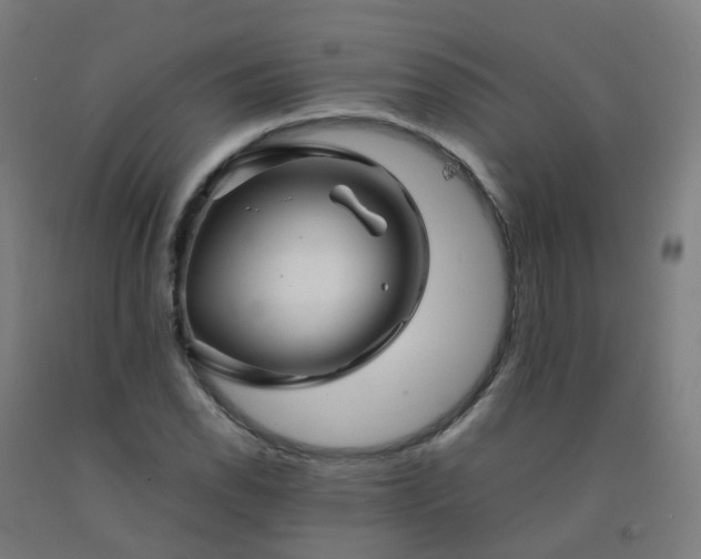 X0000092271118200709281218