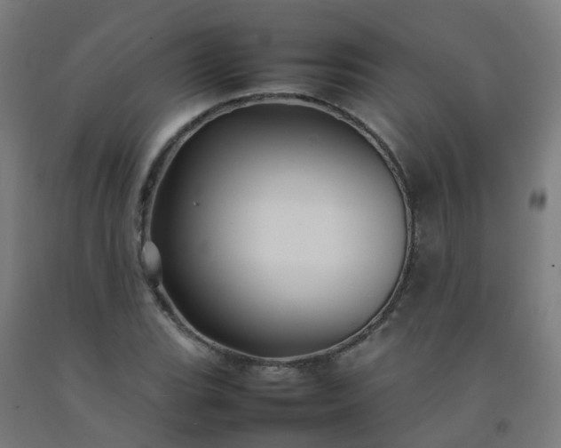 X0000092271119200709281218