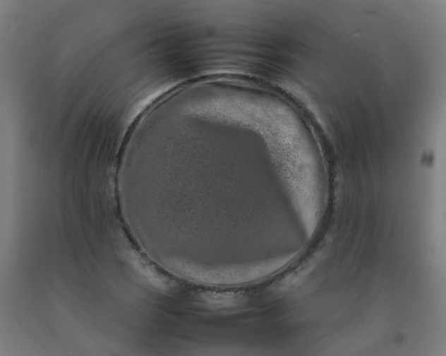 X0000092271121200709281218