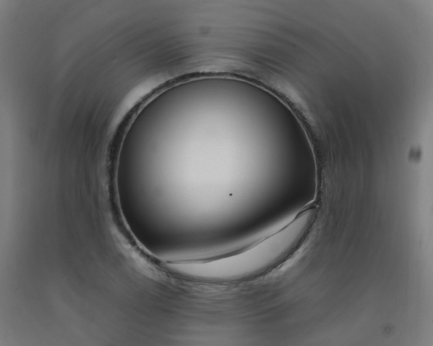 X0000092271122200709281218