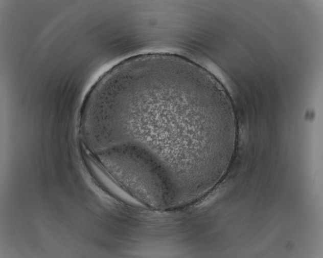 X0000092271124200709281218