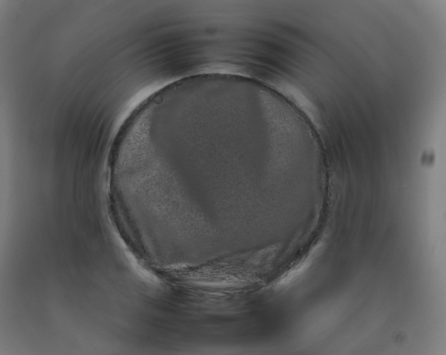 X0000092271125200709281218