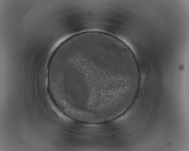 X0000092271127200709281218