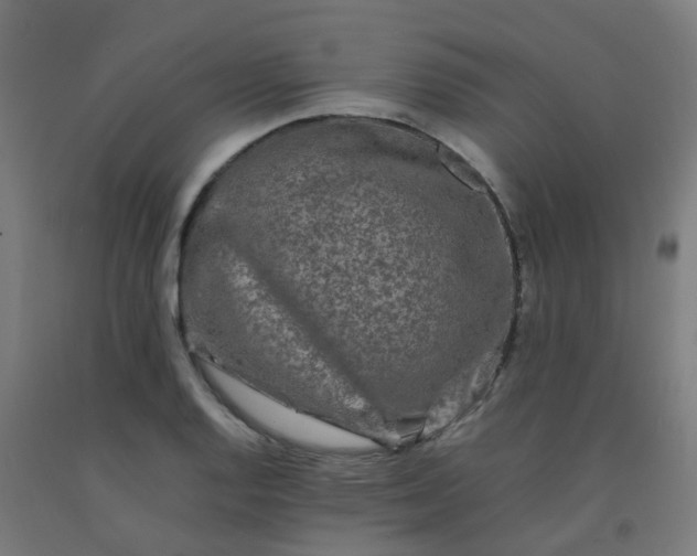 X0000092271128200709281218