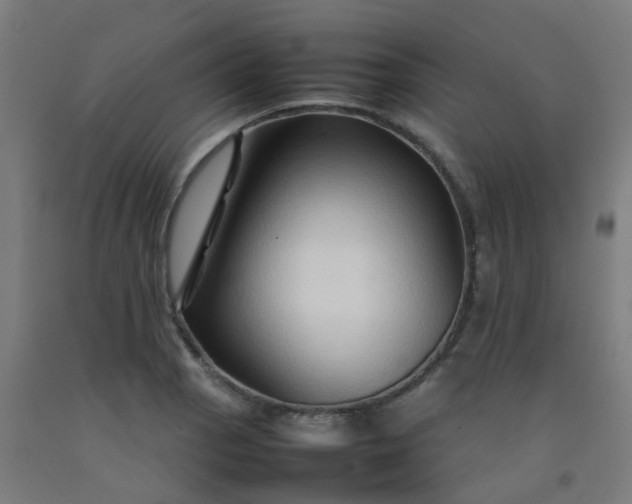 X0000092271129200709281218