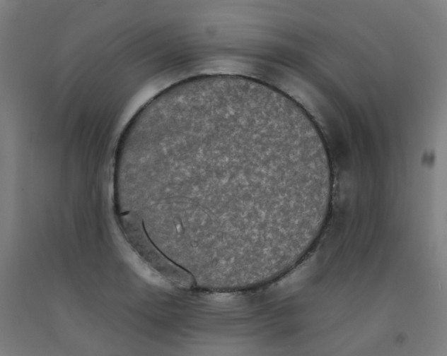 X0000092271130200709281218